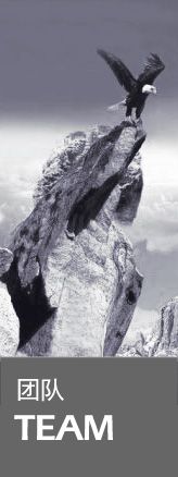 團隊TEAM 團隊TEAM